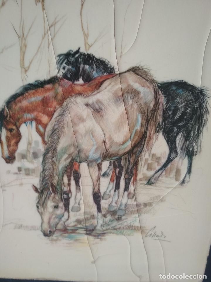 Arte: cuadro antiguo, de caballos, decoracion, - Foto 2