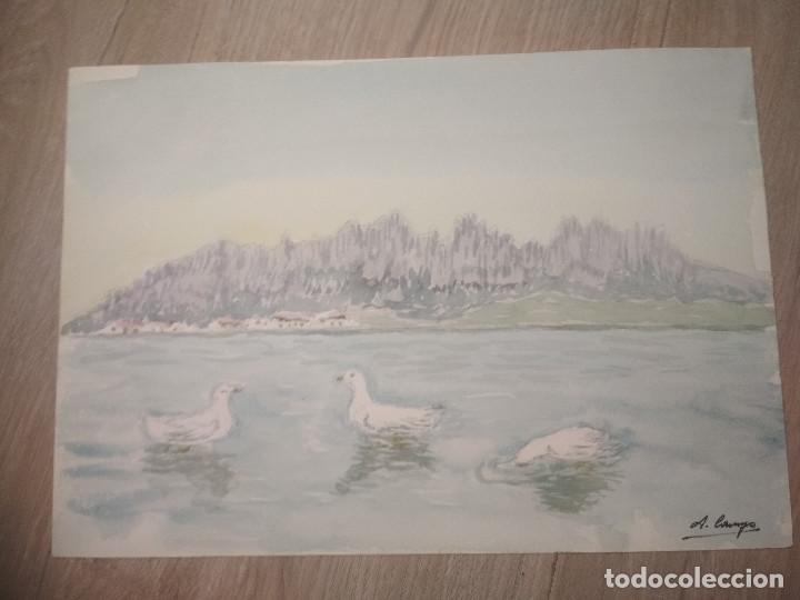 Arte: Acuarelas originales A. Casasayas - Foto 1