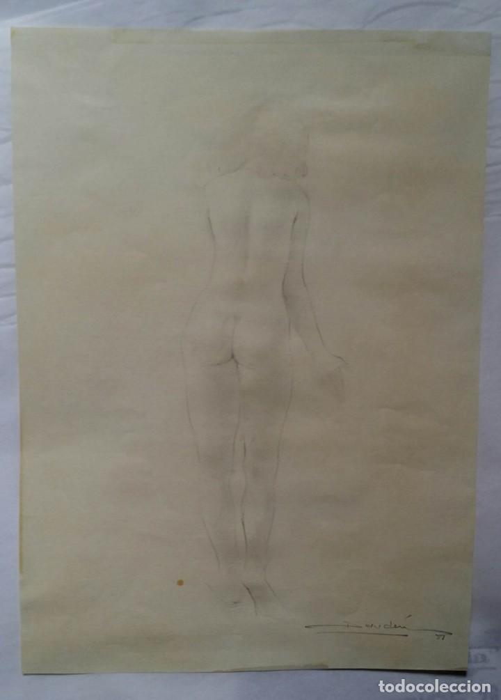 Arte: CARLOS DAUDEN / DIBUJO - Foto 3