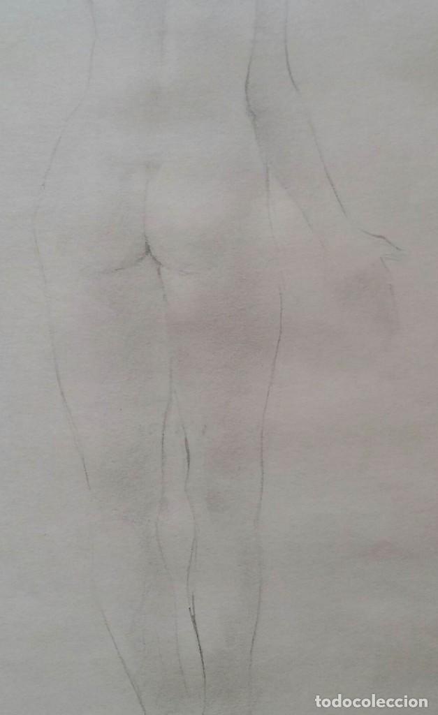 Arte: CARLOS DAUDEN / DIBUJO - Foto 5