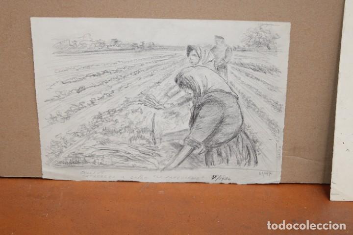 Arte: ANONIMO. DIBUJO A CARBON. PAYESES - Foto 1