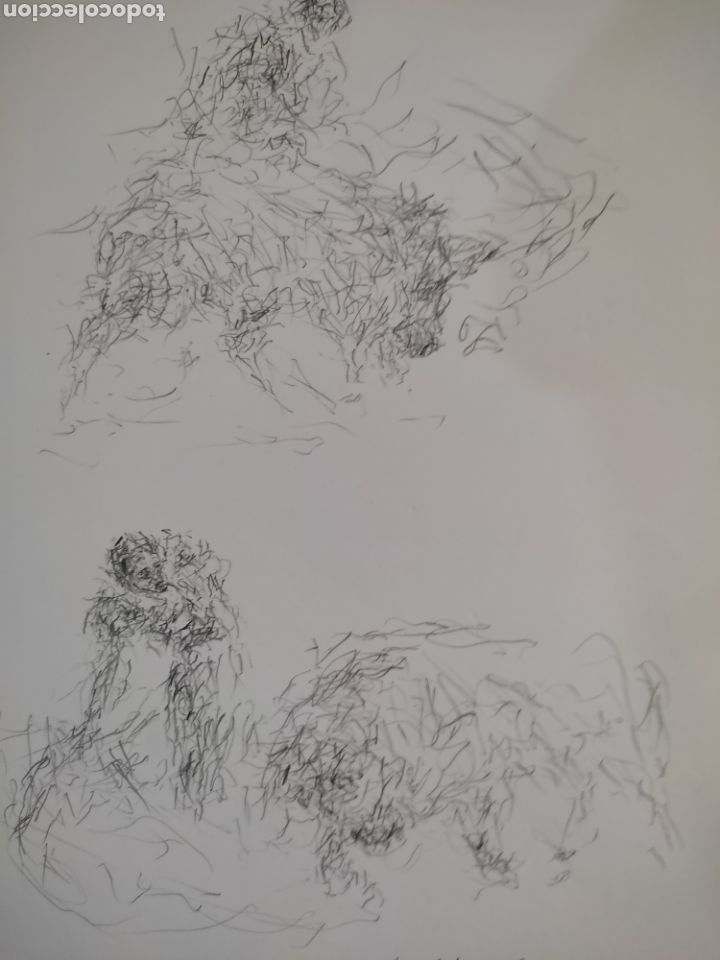 Arte: Dibujo en movimiento - Foto 1