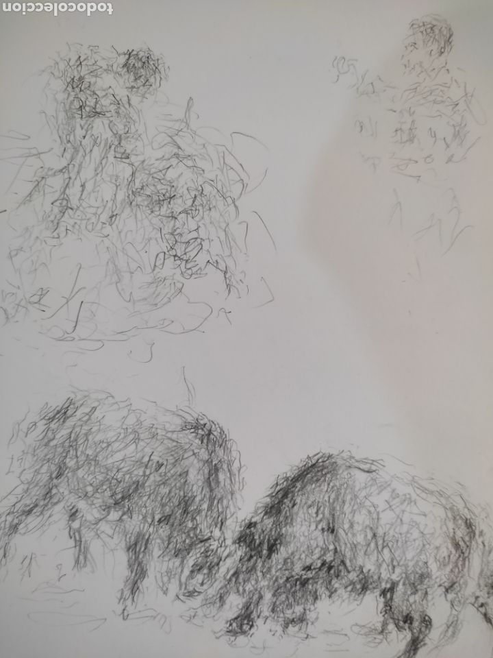 Arte: Toros im&aacute;genes ( dibujo ) - Foto 2