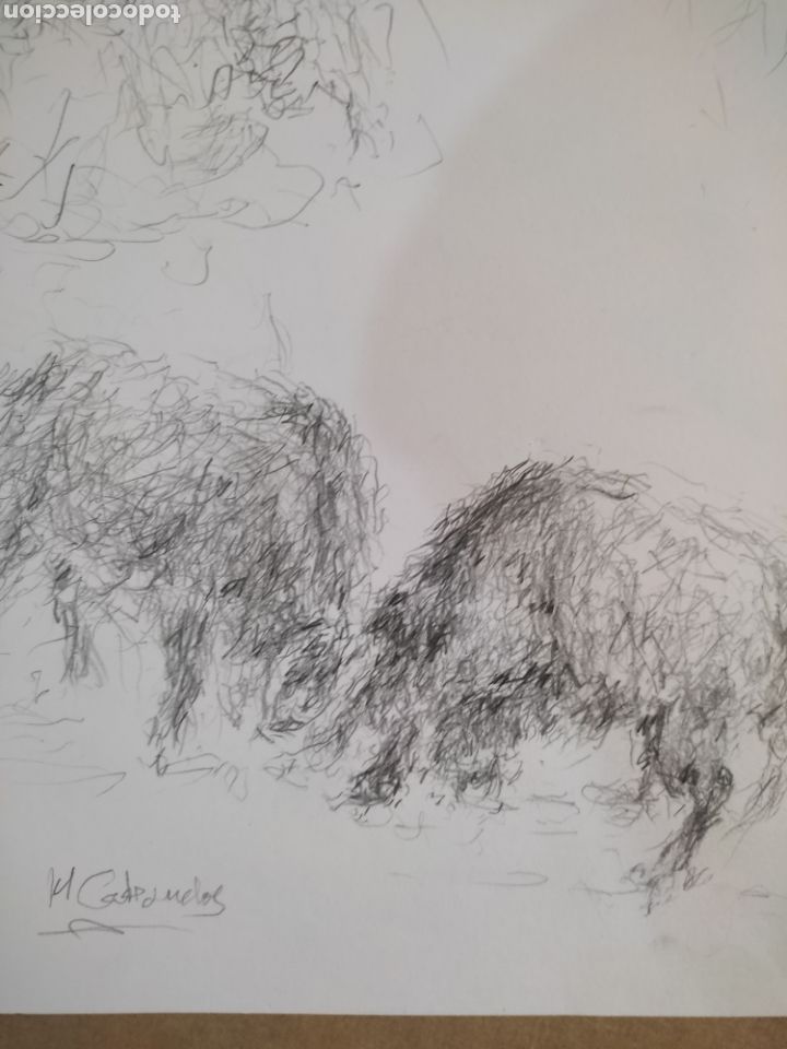 Arte: Toros im&aacute;genes ( dibujo ) - Foto 3