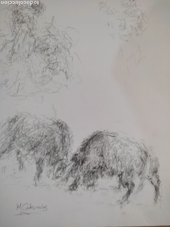Arte: Toros im&aacute;genes ( dibujo ) - Foto 4