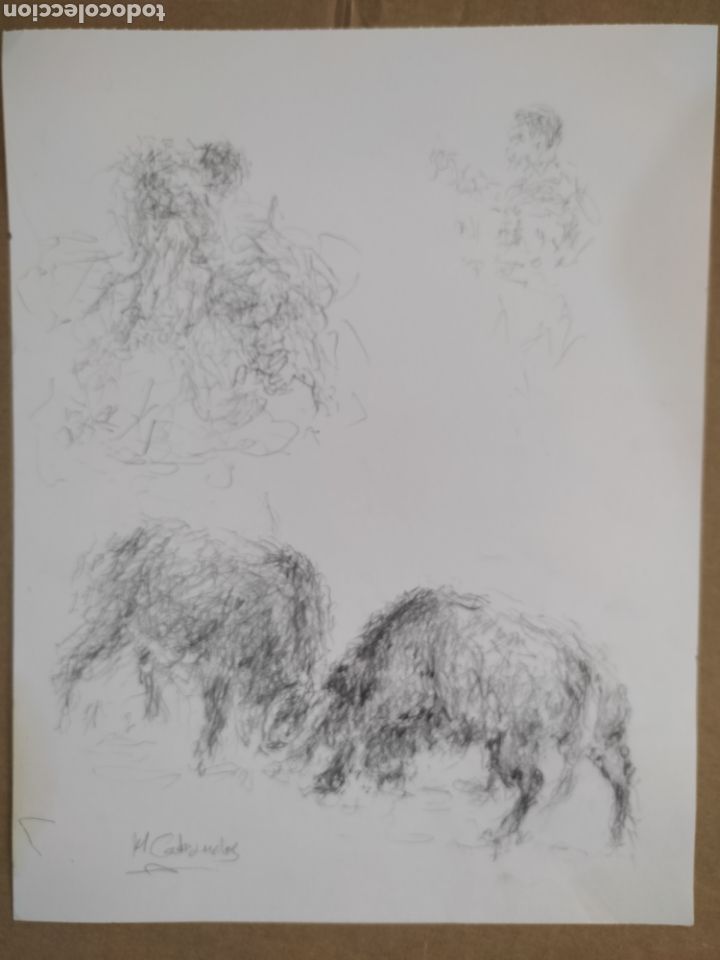 Arte: Toros im&aacute;genes ( dibujo ) - Foto 5
