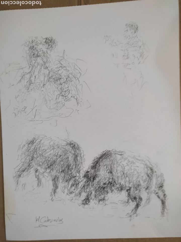 Arte: Toros im&aacute;genes ( dibujo ) - Foto 1