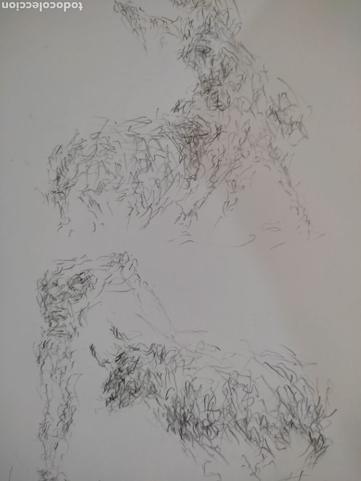 Arte: Dibujo en movimiento ( original ) - Foto 2