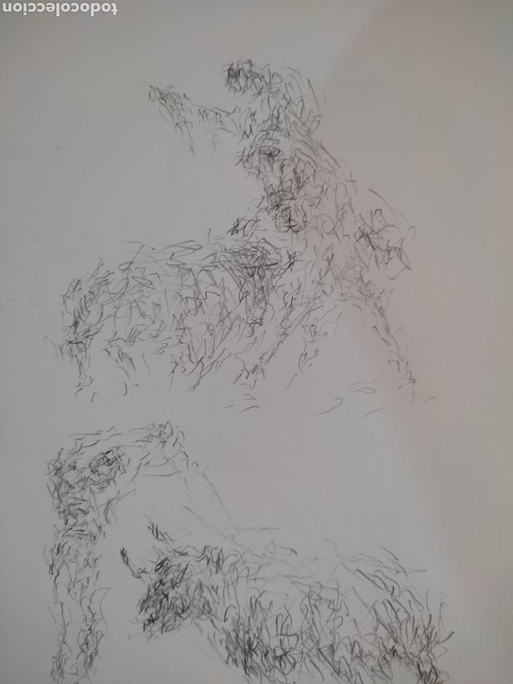 Arte: Dibujo en movimiento ( original ) - Foto 3