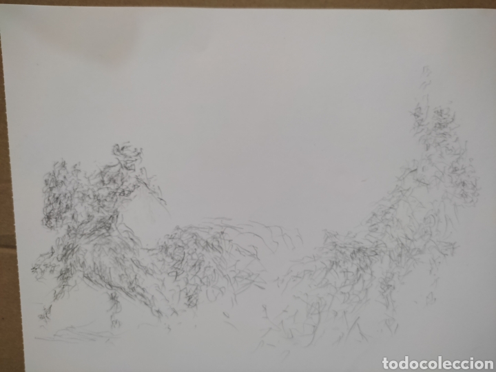 Arte: Dibujo en movimiento - Foto 3