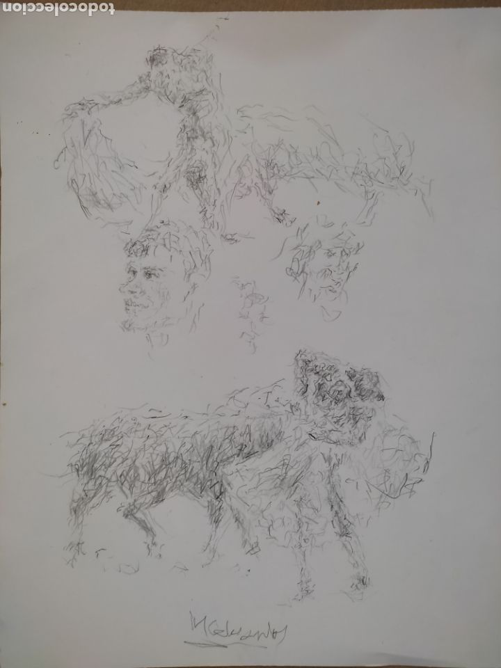 Arte: Dibujo en movimiento - Foto 5