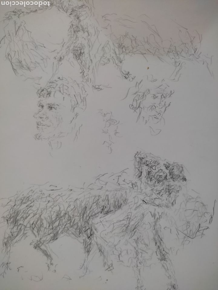 Arte: Dibujo en movimiento - Foto 6