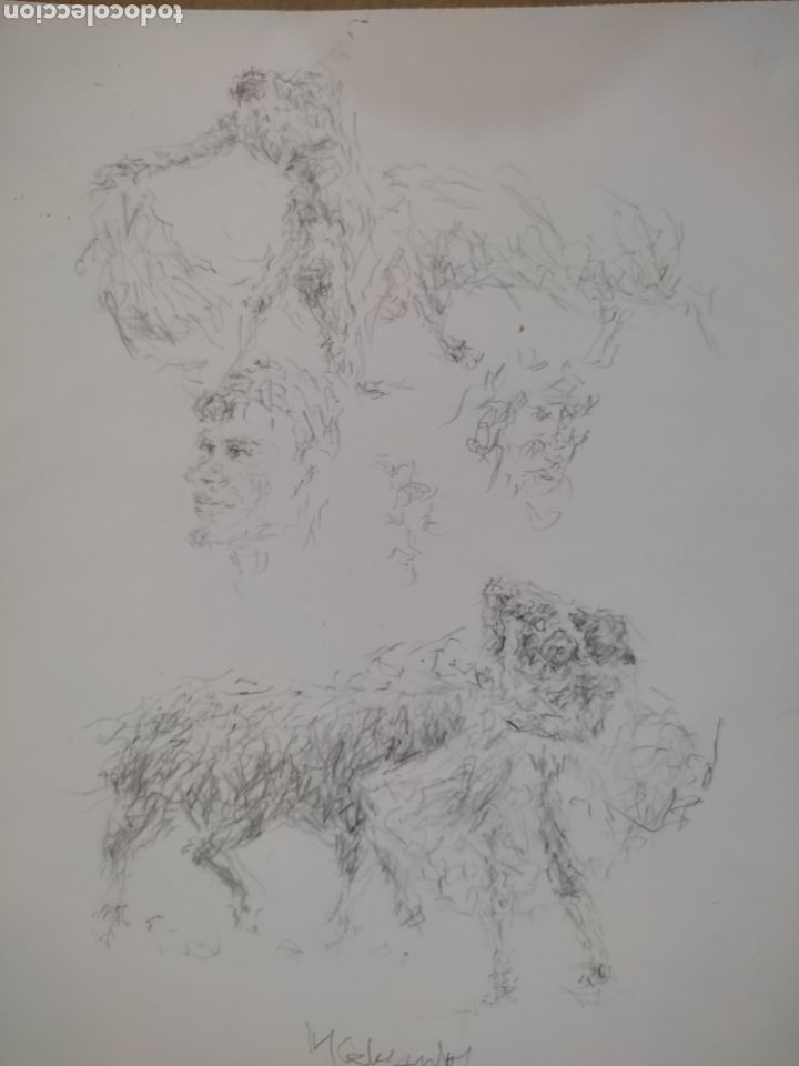 Arte: Dibujo en movimiento - Foto 7