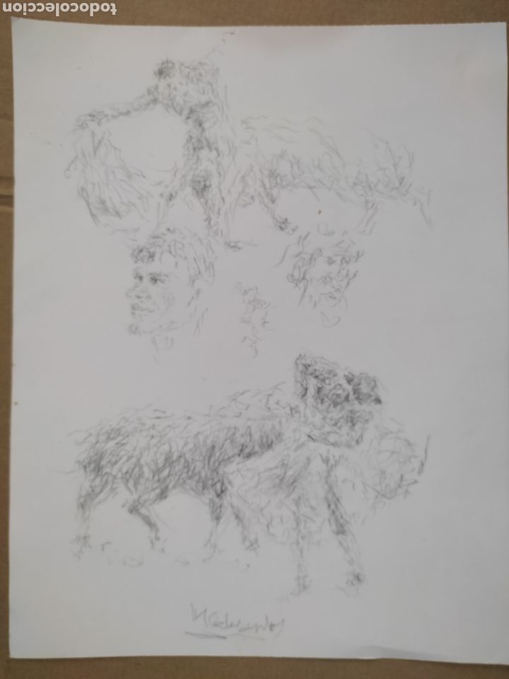 Arte: Dibujo en movimiento - Foto 8