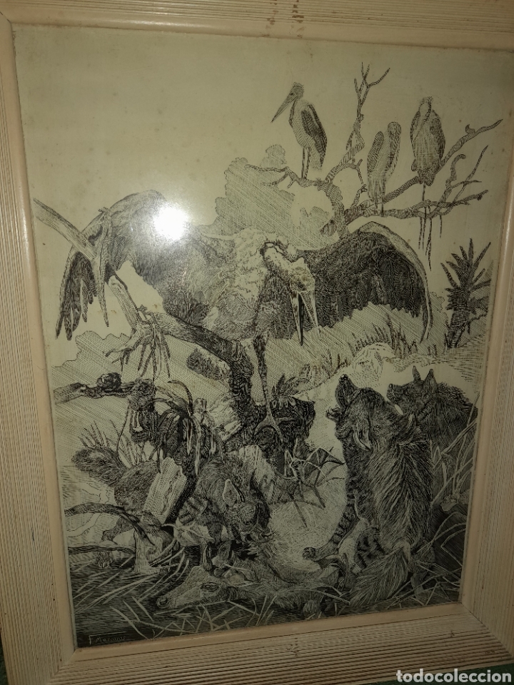 Art: ANTIGUO DIBUJO PERROS LOBOS ATACANDO PAJARO BUITRE GAVIOTA GRULLA FIRMADO FRANCISCO MASCAR&Oacute;S