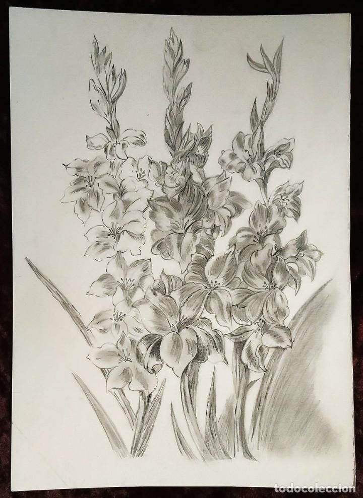  dibujo a lápiz / bodegón  * ramos de flores *.
