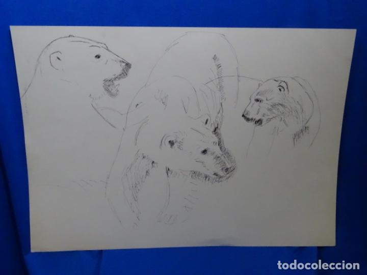 Arte: GRAN DIBUJO A TINTA AN&Oacute;NIMO. OSOS. - Foto 1