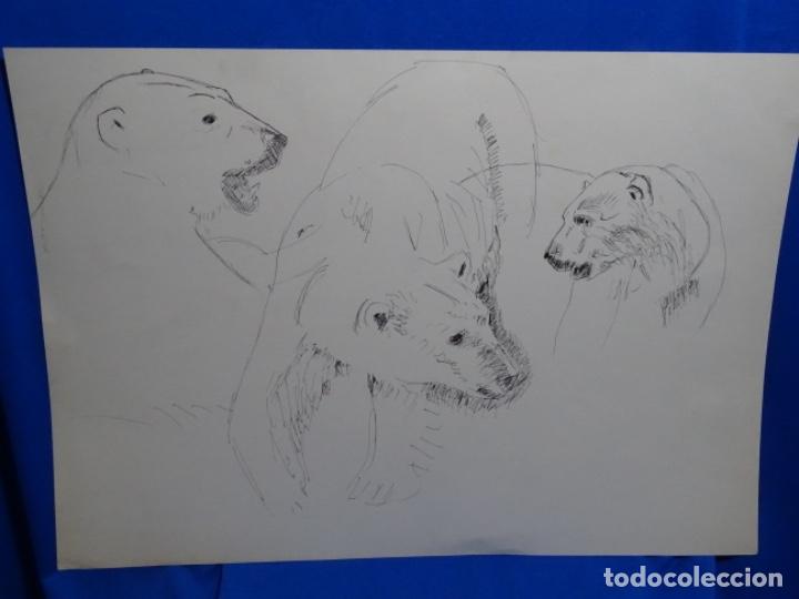 Arte: GRAN DIBUJO A TINTA AN&Oacute;NIMO. OSOS. - Foto 2