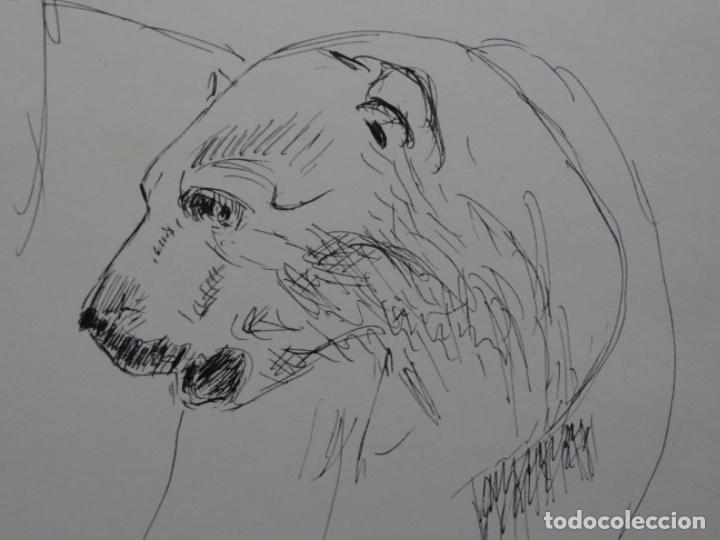 Arte: GRAN DIBUJO A TINTA AN&Oacute;NIMO. OSOS. - Foto 5