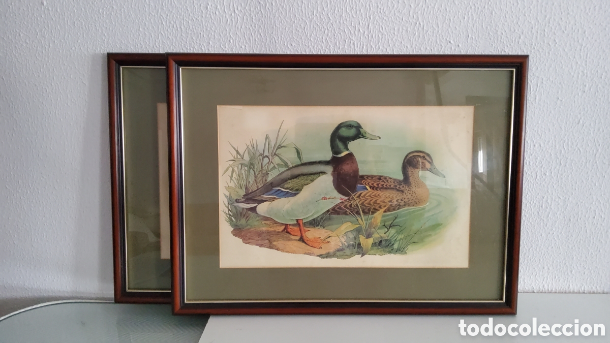 Arte: Conjunto cuadros de patos - Foto 2