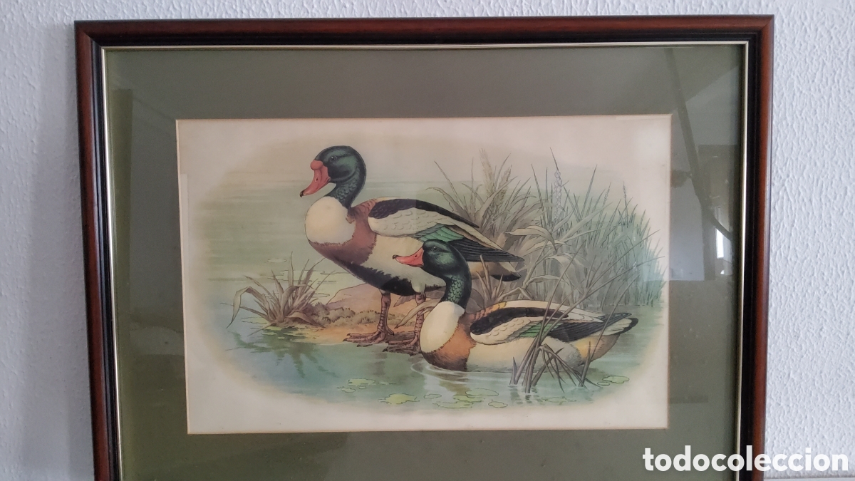 Arte: Conjunto cuadros de patos - Foto 3