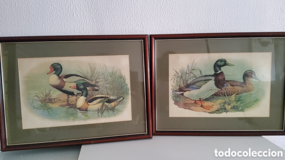Arte: Conjunto cuadros de patos - Foto 4