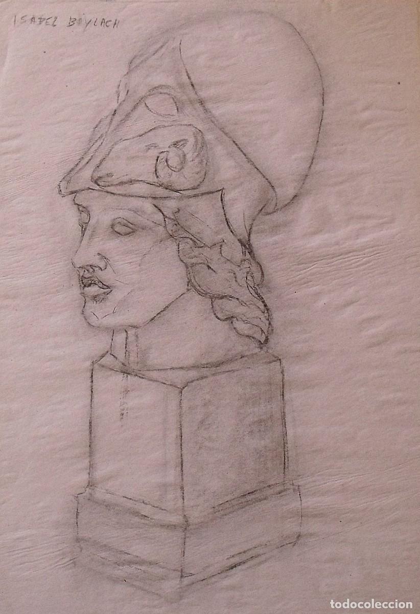Art: Isabel Baylach. Busto cl&aacute;sico masculino. Dibujo carb&oacute;n, boceto o esbozo. Firmado a mano. 70x50 cm.