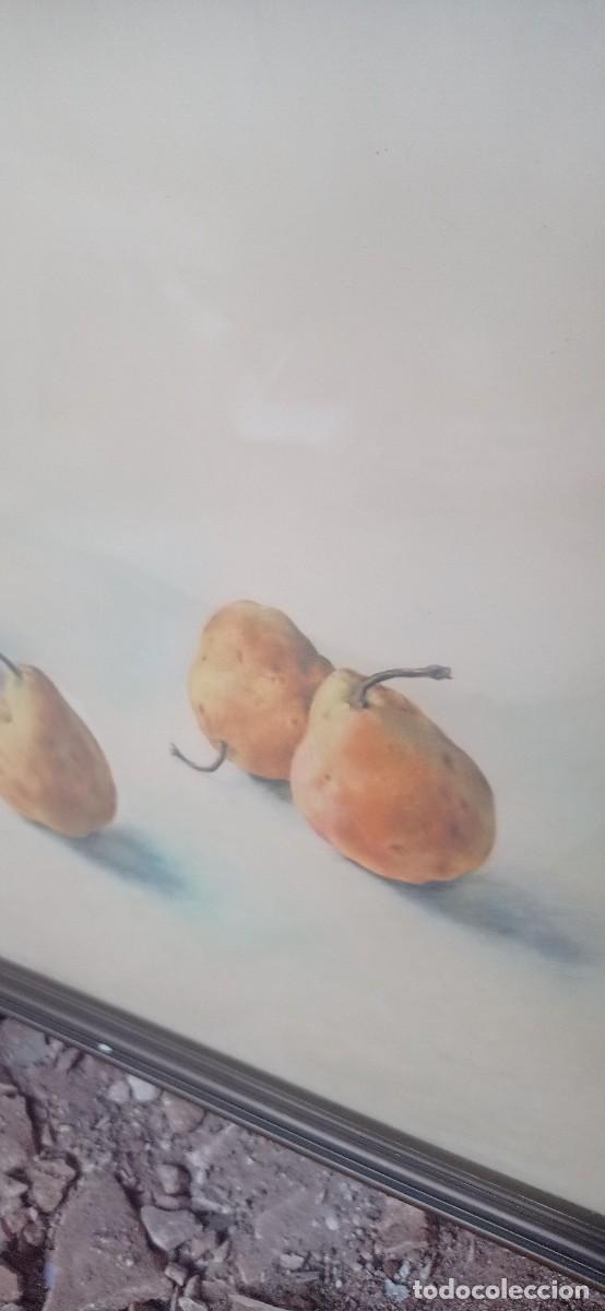 Arte: PERAS. Dibujo Iranzo - Foto 7