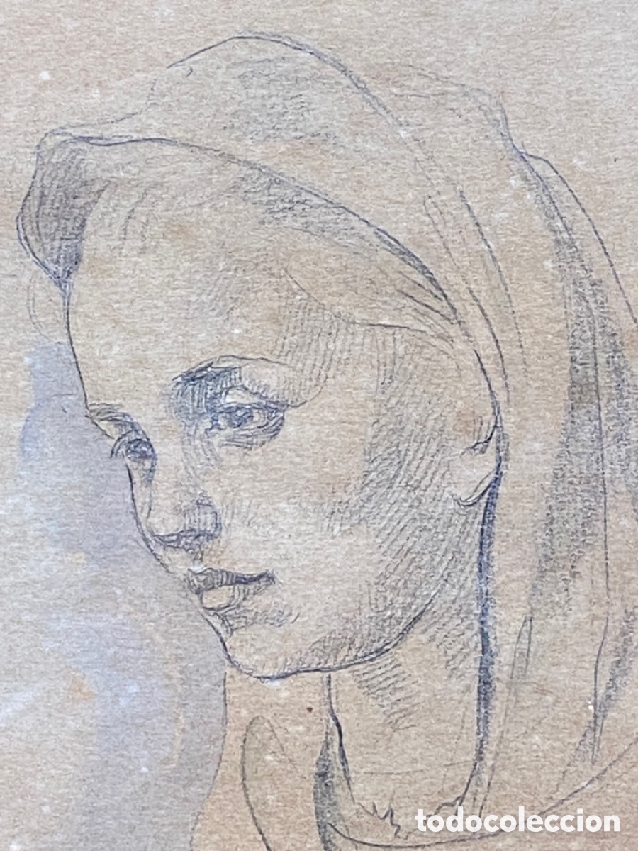 Arte: Dibujo Paco Ribera. - Foto 4