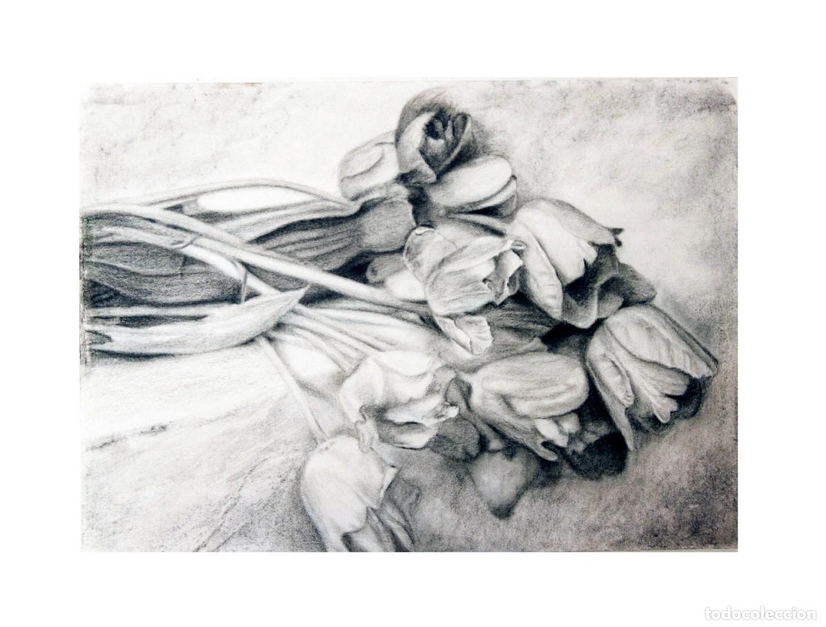 Art: Dibujo de tulipanes realizado a grafito y carb&oacute;n sobre papel.