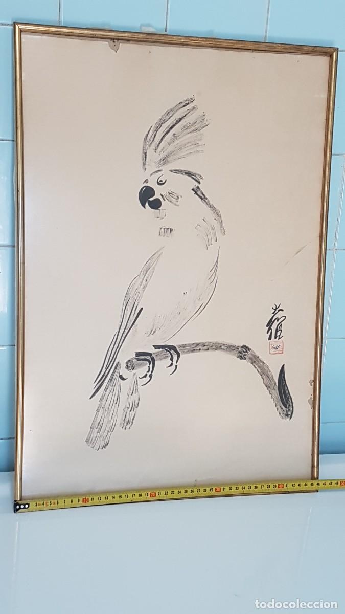 Arte: CUADRO LORO - Foto 4