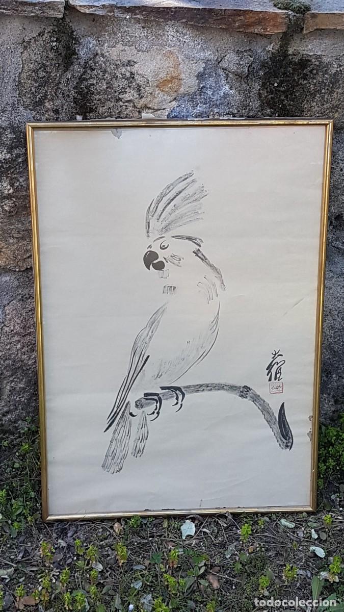 Arte: CUADRO LORO - Foto 5