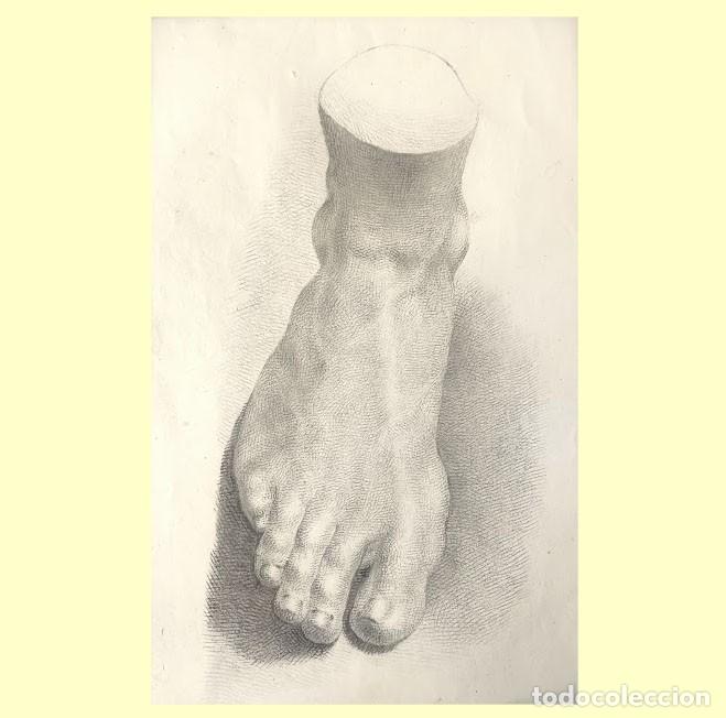 Arte: DIBUJO ACADEMIA DE UN PIE - Foto 1