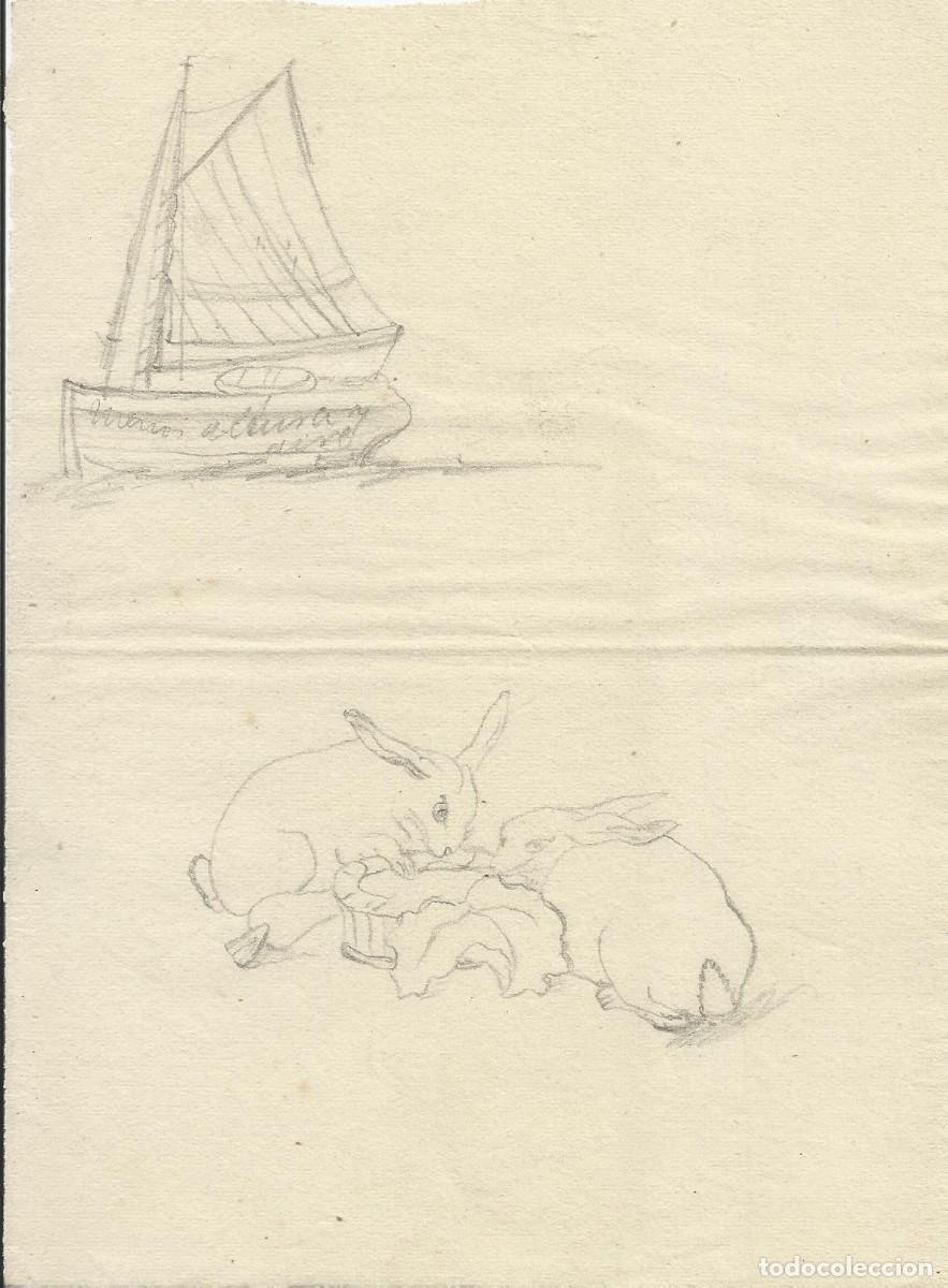 Arte: Atilano Vidal Ad&aacute;n. Dibujo sobre papel. Velero y conejos. Sin firmar. 1901. 20x15 cm.