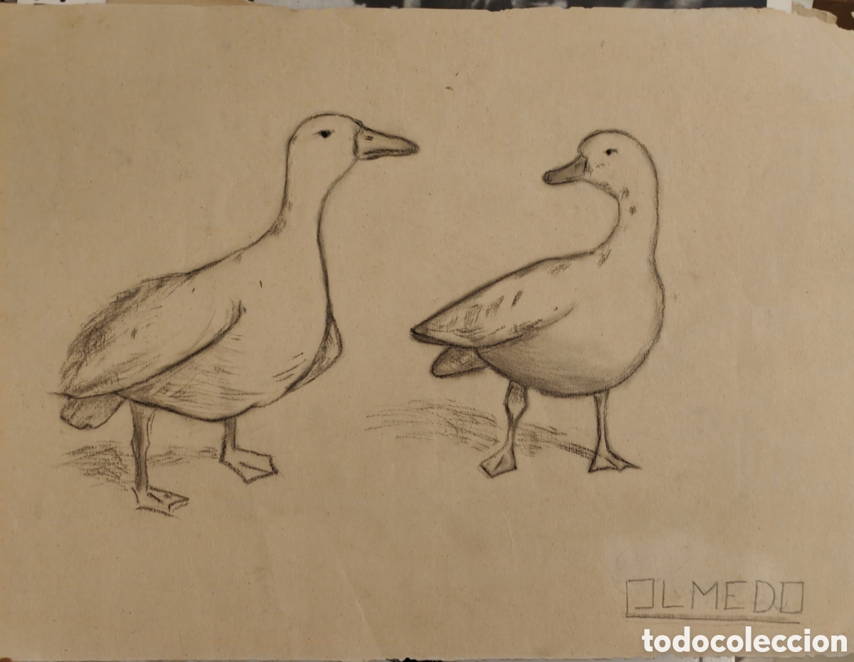 Arte: :::: K87 - DIBUJO A LAPIZ - Foto 1