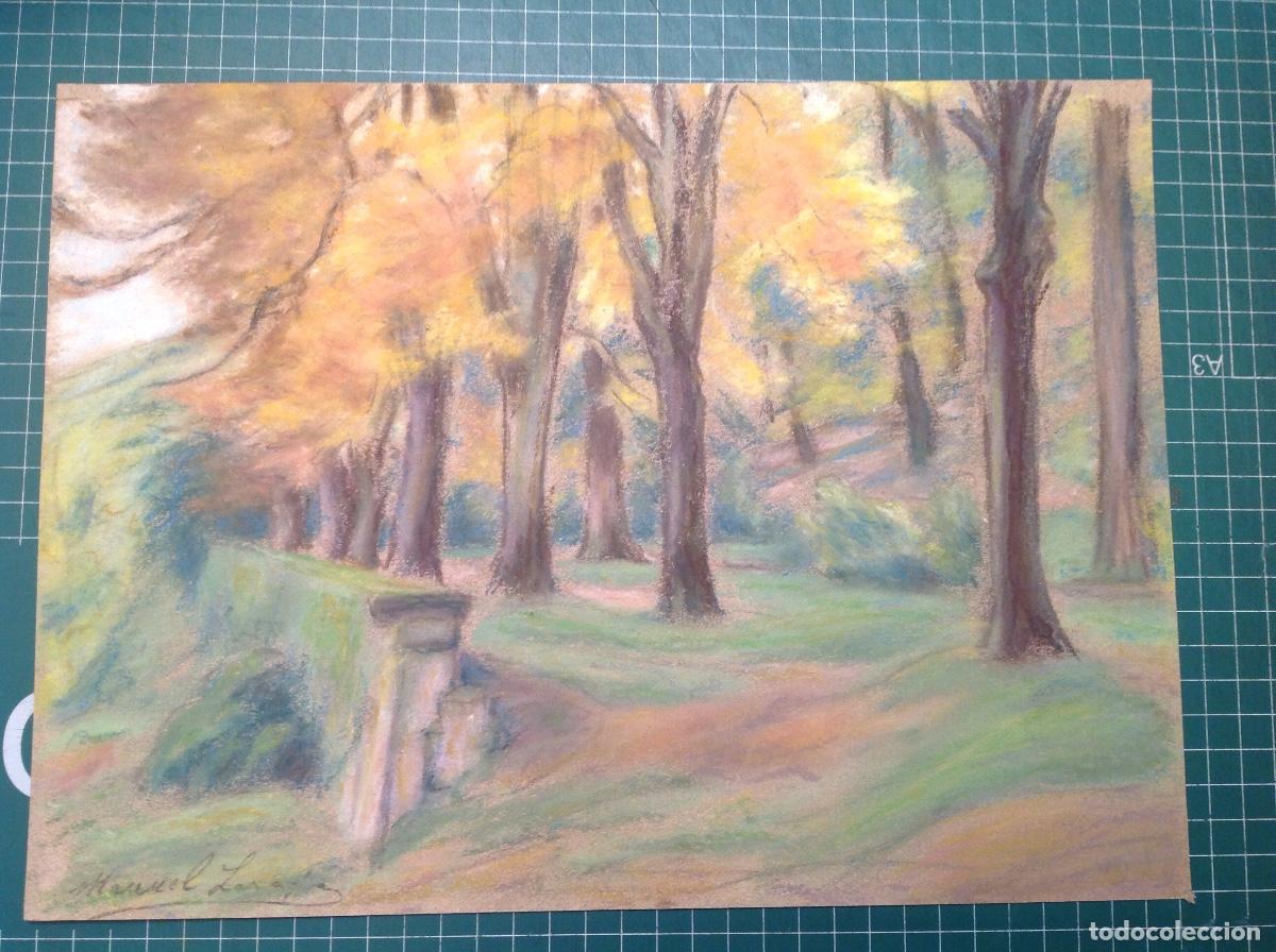 Arte: Manuel Losada. Un bosque. - Foto 1