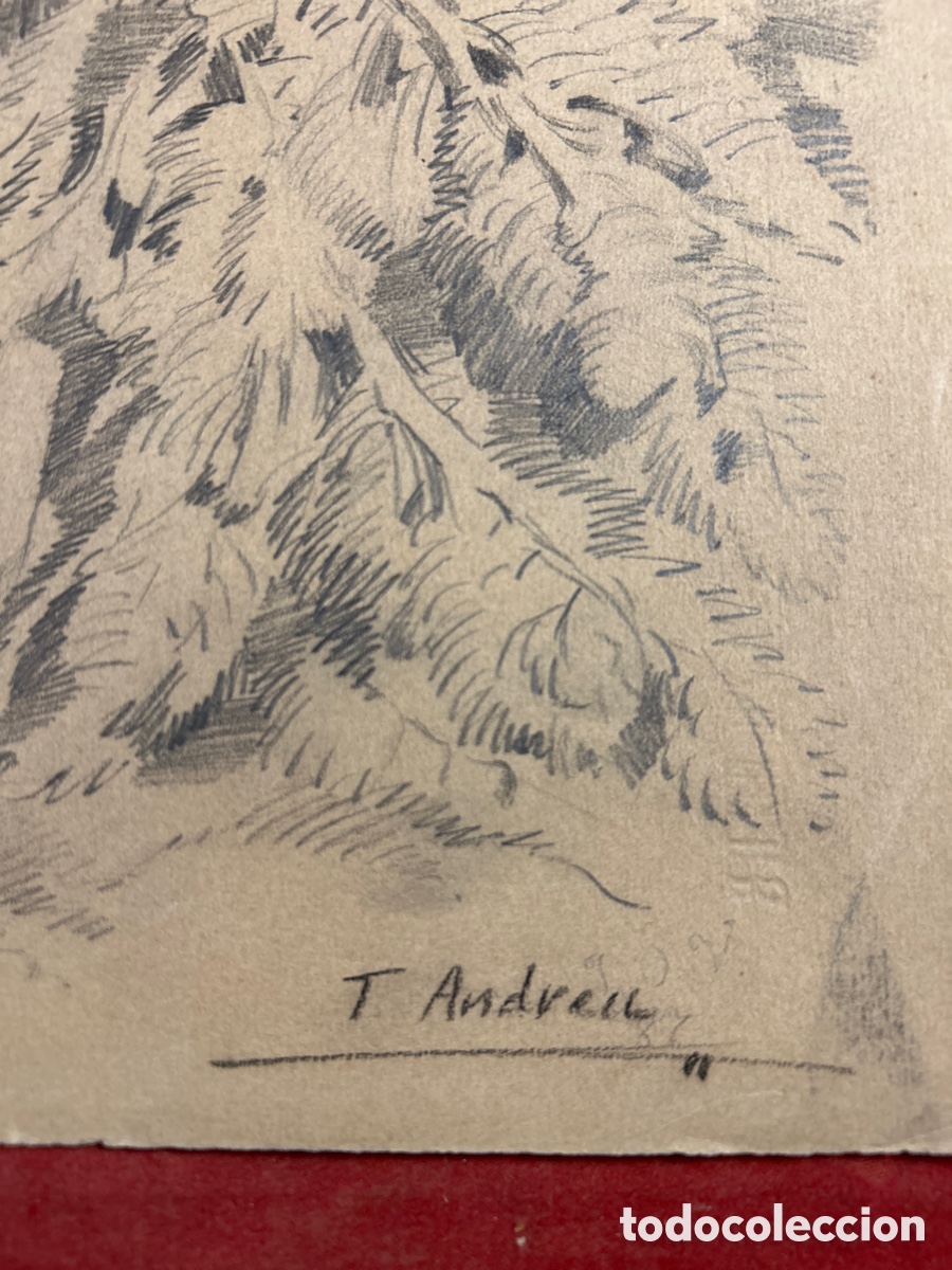 Arte: Teodoro Andreu Santamans dibujo a l&aacute;piz - Foto 3
