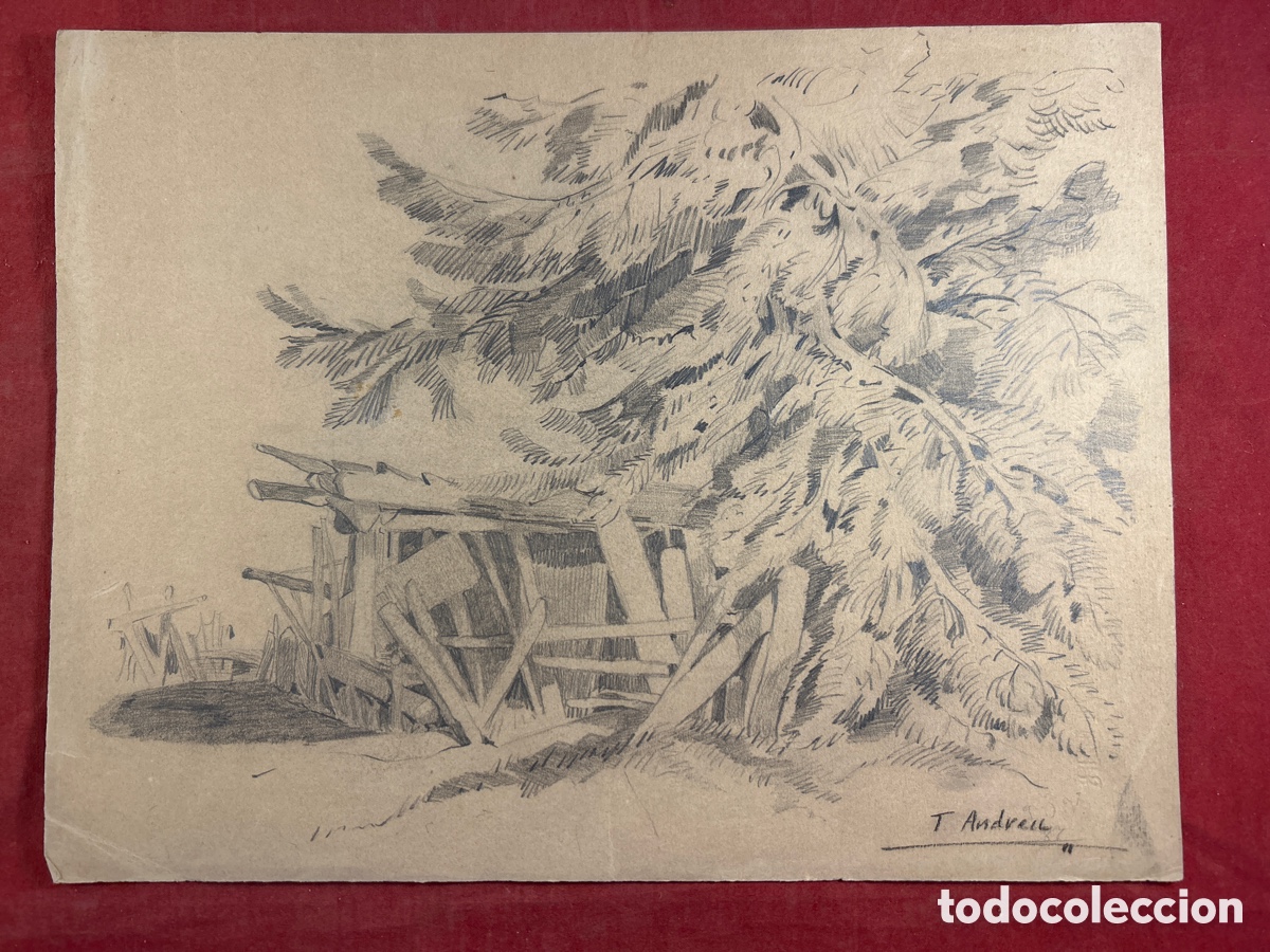 Arte: Teodoro Andreu Santamans dibujo a l&aacute;piz - Foto 1