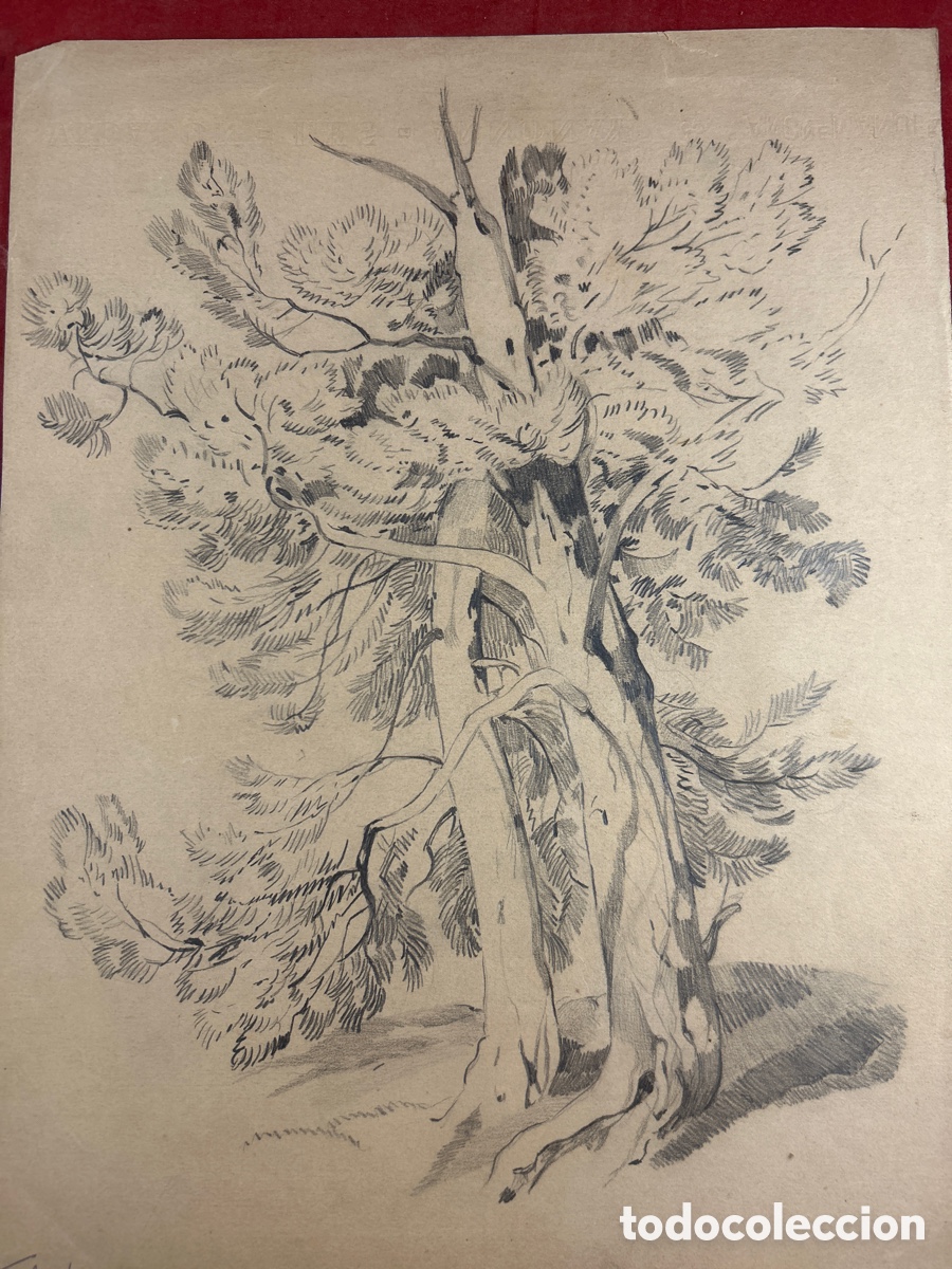 Arte: Teodoro Andreu Santamans - Foto 2