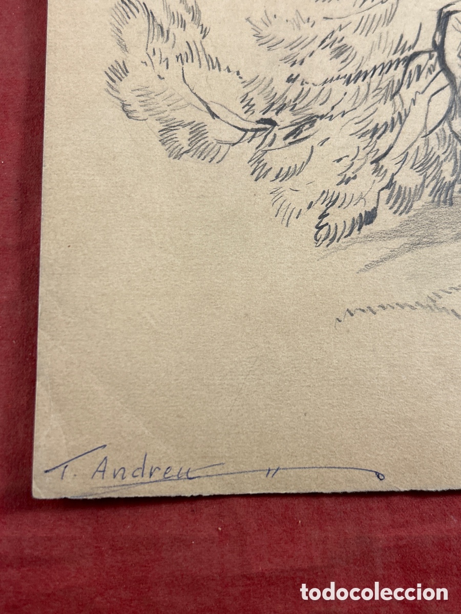 Arte: Teodoro Andreu Santamans - Foto 3
