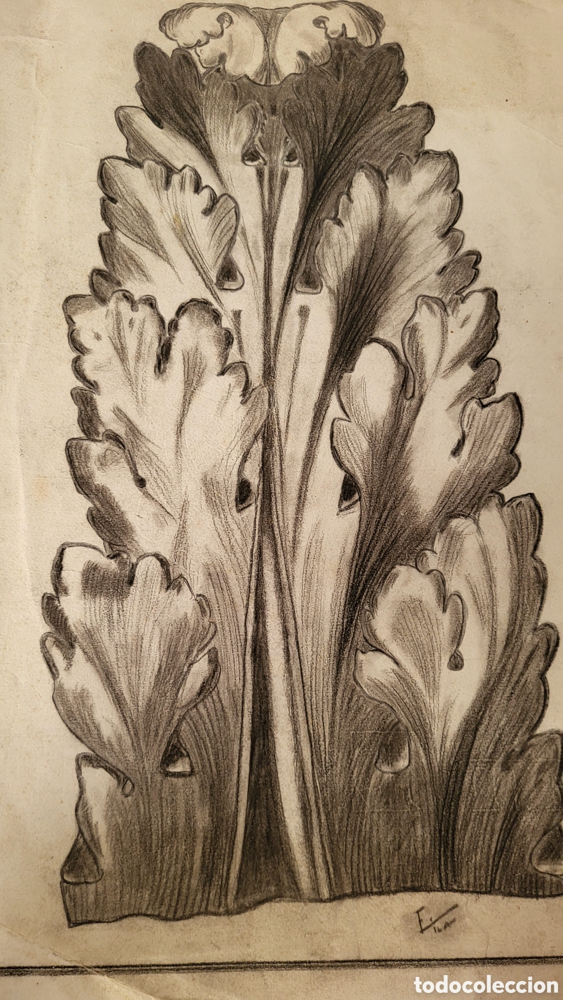 Arte: Dibujo carboncillo - Foto 1