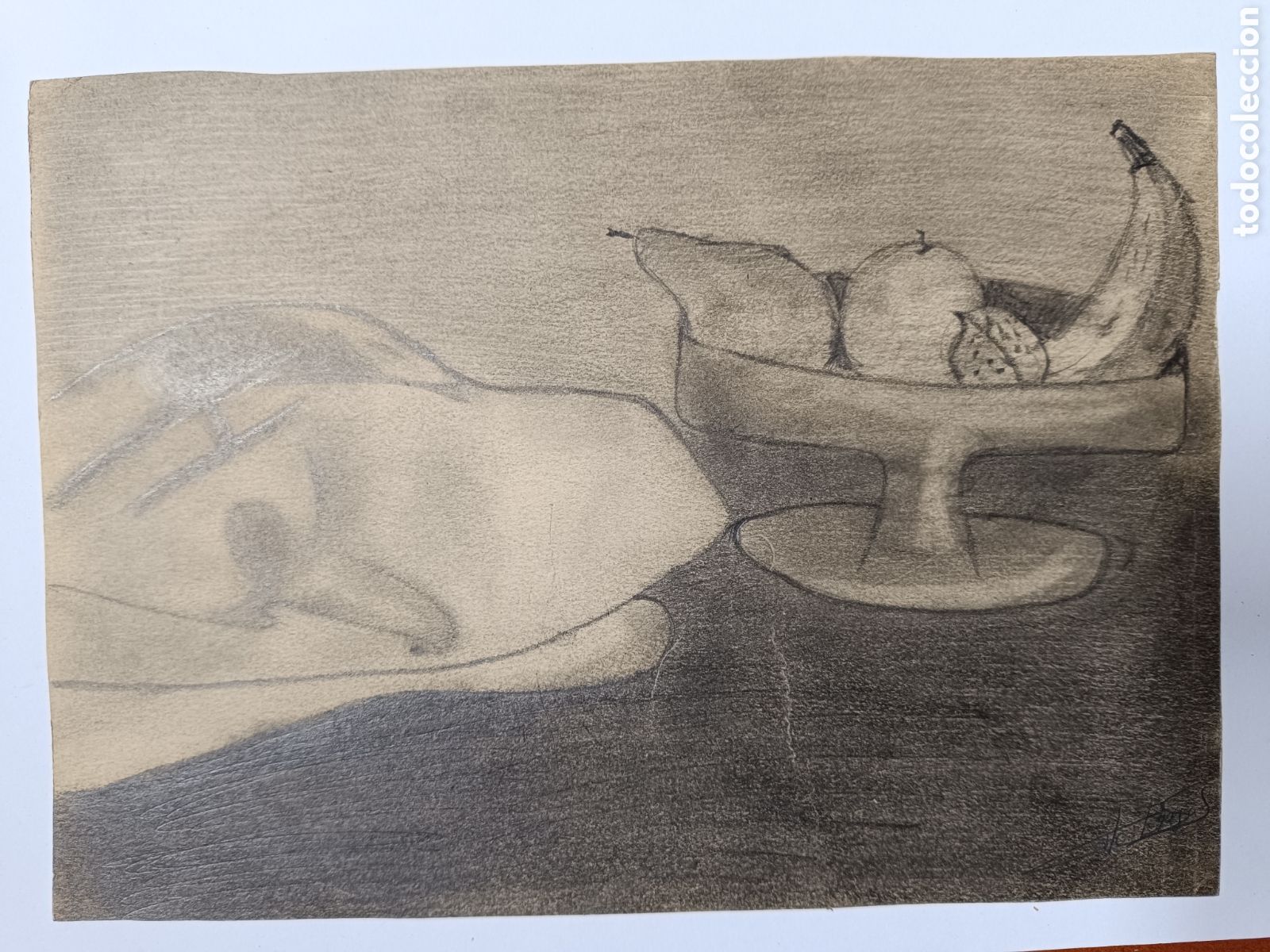 Dibujo Bodeg&oacute;n frutero