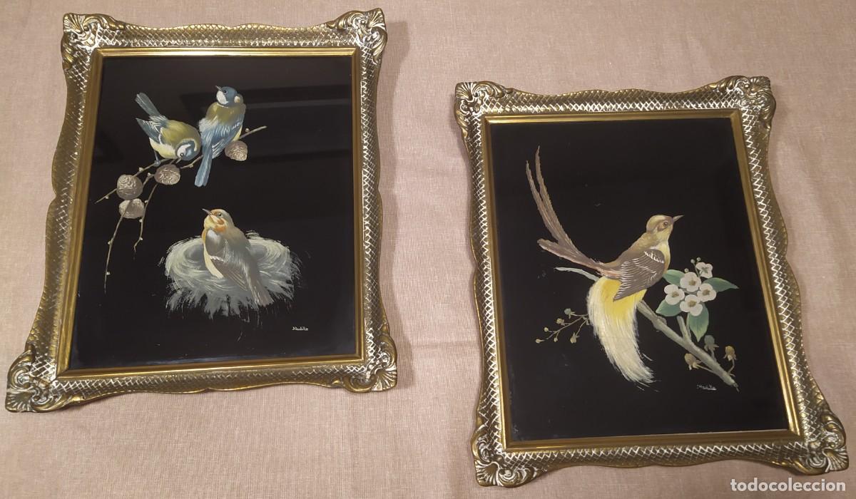 Art: Cuadros de p&aacute;jaros sobre fondo negro