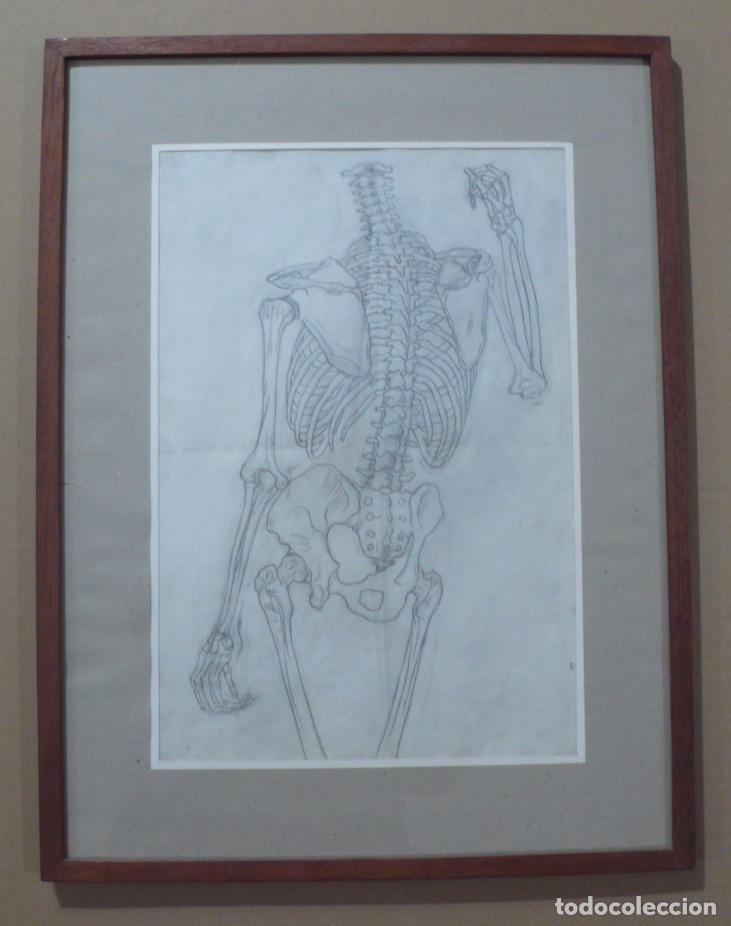 Arte: DIBUJO A LAPICERO - Foto 1