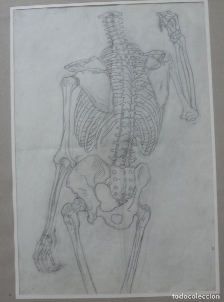 Arte: DIBUJO A LAPICERO - Foto 2