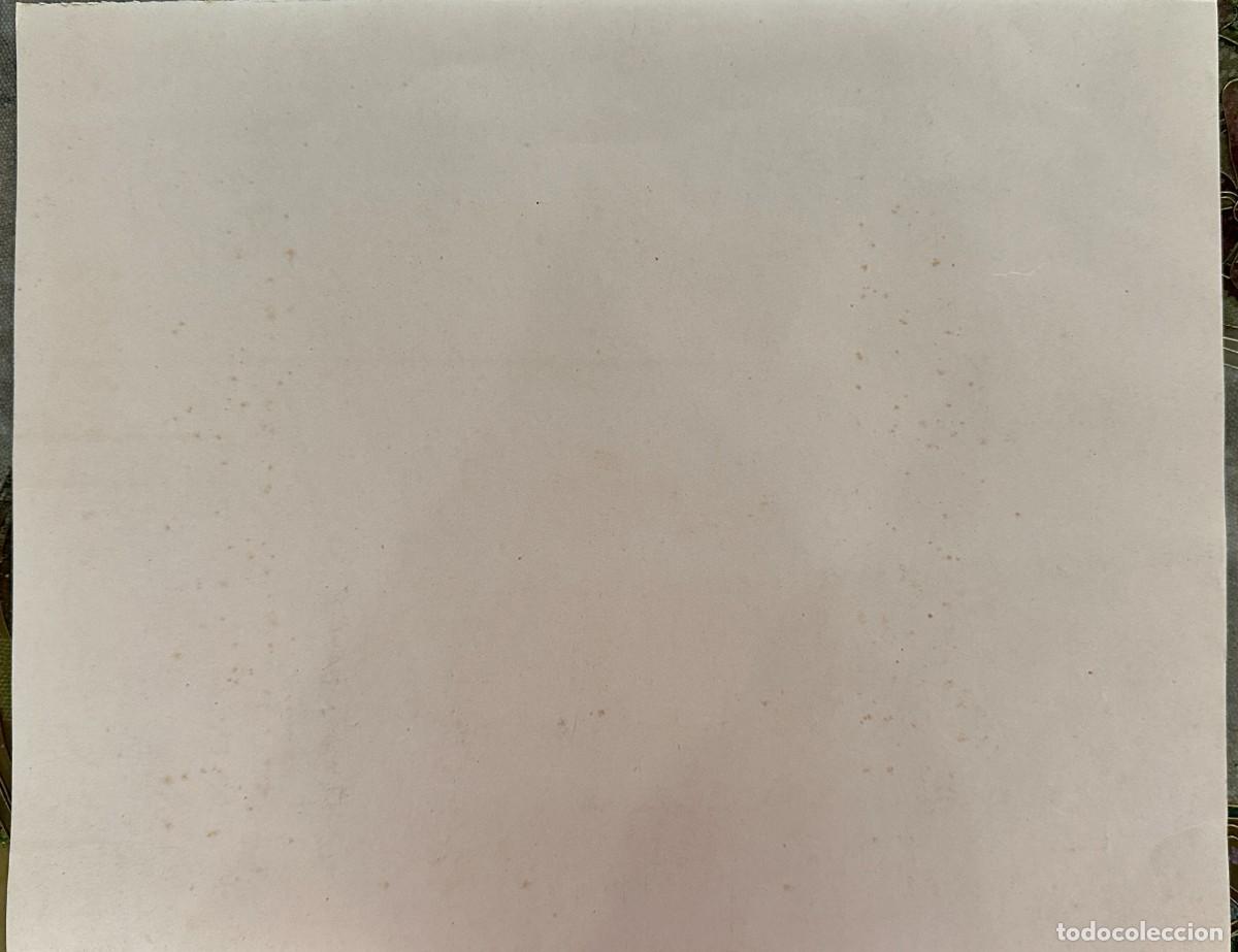 Arte: Dibujo sobre papel - Foto 3