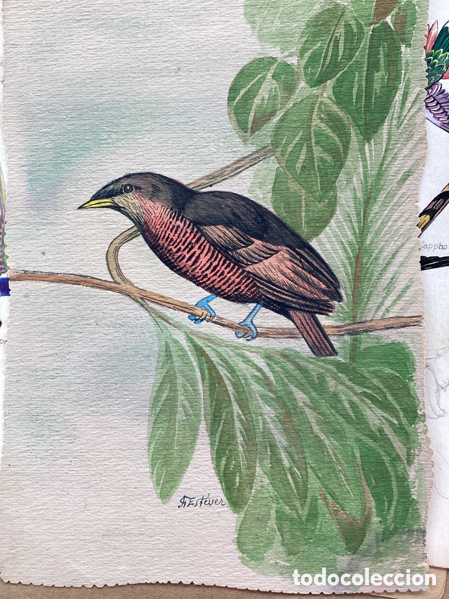 Arte: DIBUJOS DE ACADEMIA - Foto 8