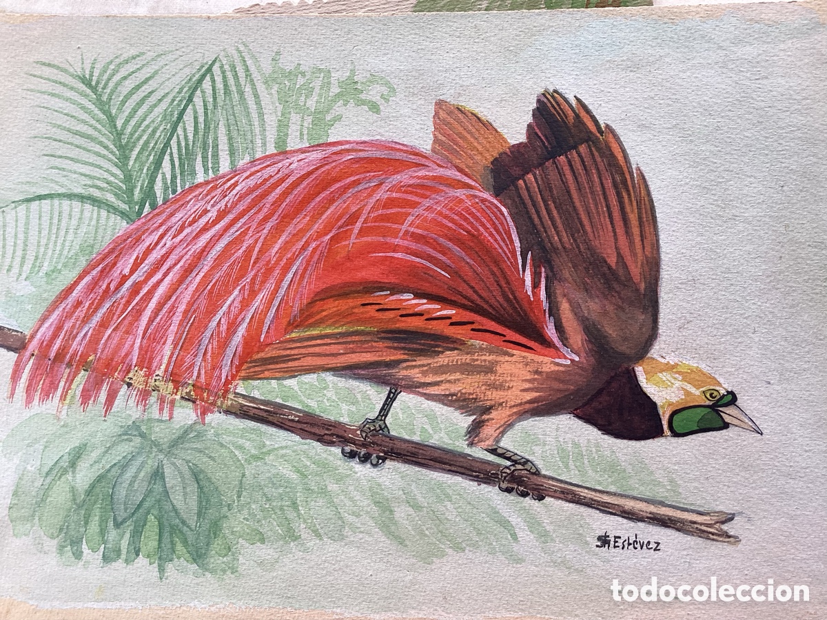 Arte: DIBUJOS DE ACADEMIA - Foto 9