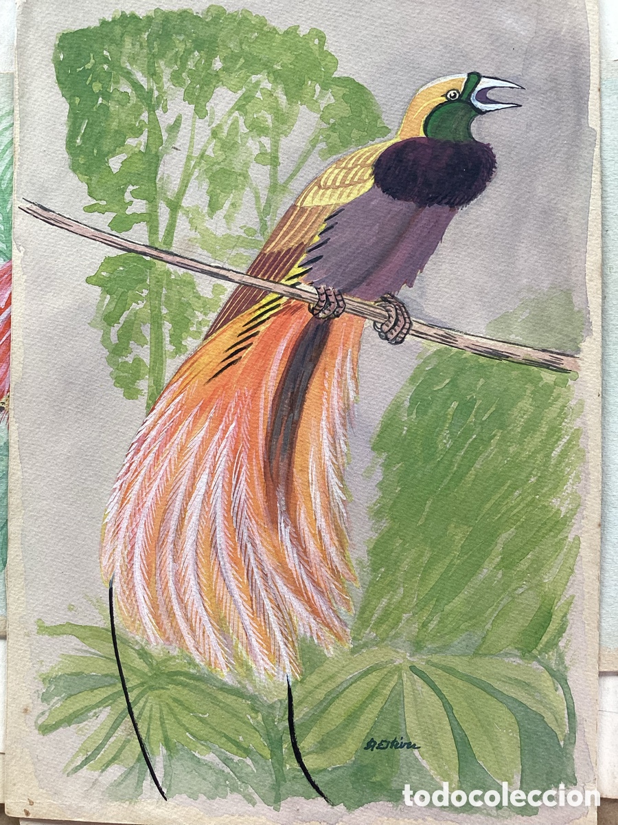 Arte: DIBUJOS DE ACADEMIA - Foto 10