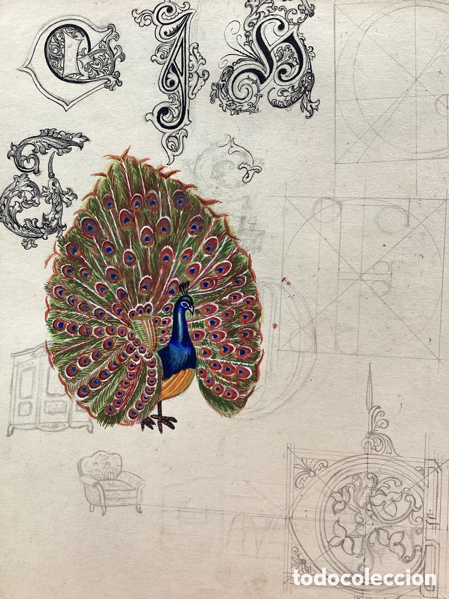 Arte: DIBUJOS DE ACADEMIA - Foto 20